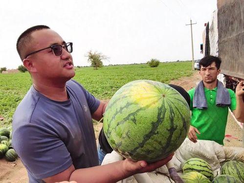 甲流吃瓜,吃瓜群众如何应对病毒侵袭？