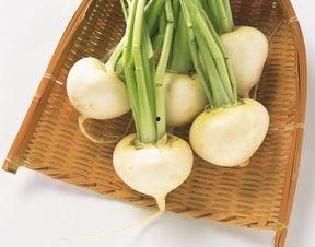 萝卜报告汽车吃瓜,揭秘汽车行业“吃瓜”现象背后的真相