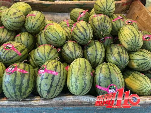 云南吃的第一瓜,第一瓜的甜蜜邂逅