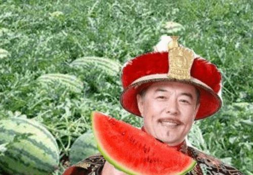 吃瓜侍卫,揭秘校园里的甜蜜瓜事