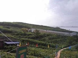 s23峡谷吃瓜群众